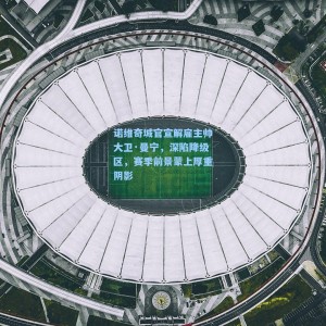 诺维奇城官宣解雇主帅大卫·曼宁，深陷降级区，赛季前景蒙上厚重阴影