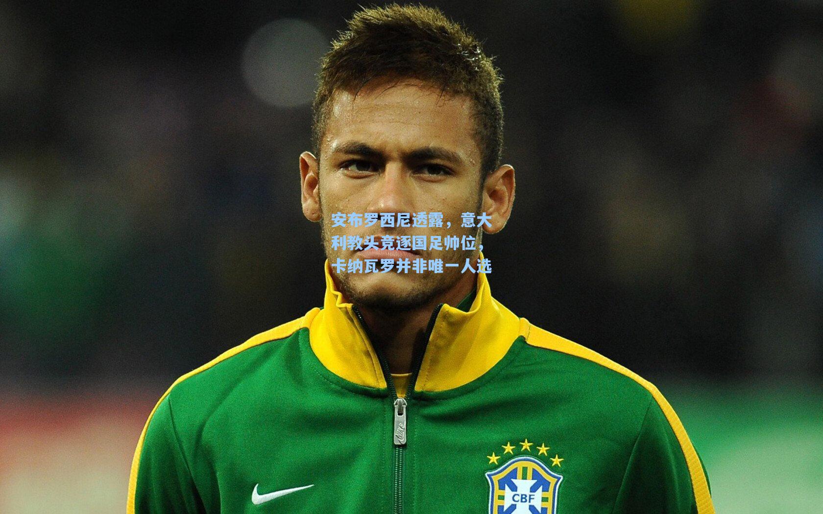 安布罗西尼透露，意大利教头竞逐国足帅位，卡纳瓦罗并非唯一人选